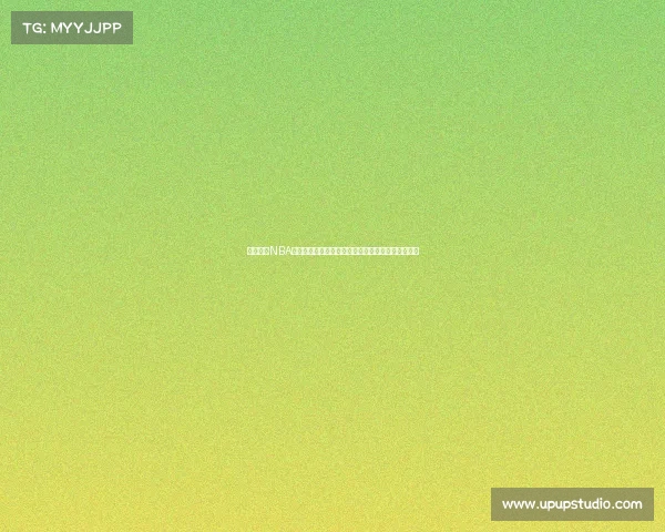 深度解析NBA球鞋性能与舒适度对比,助你选出最适合的篮球装备